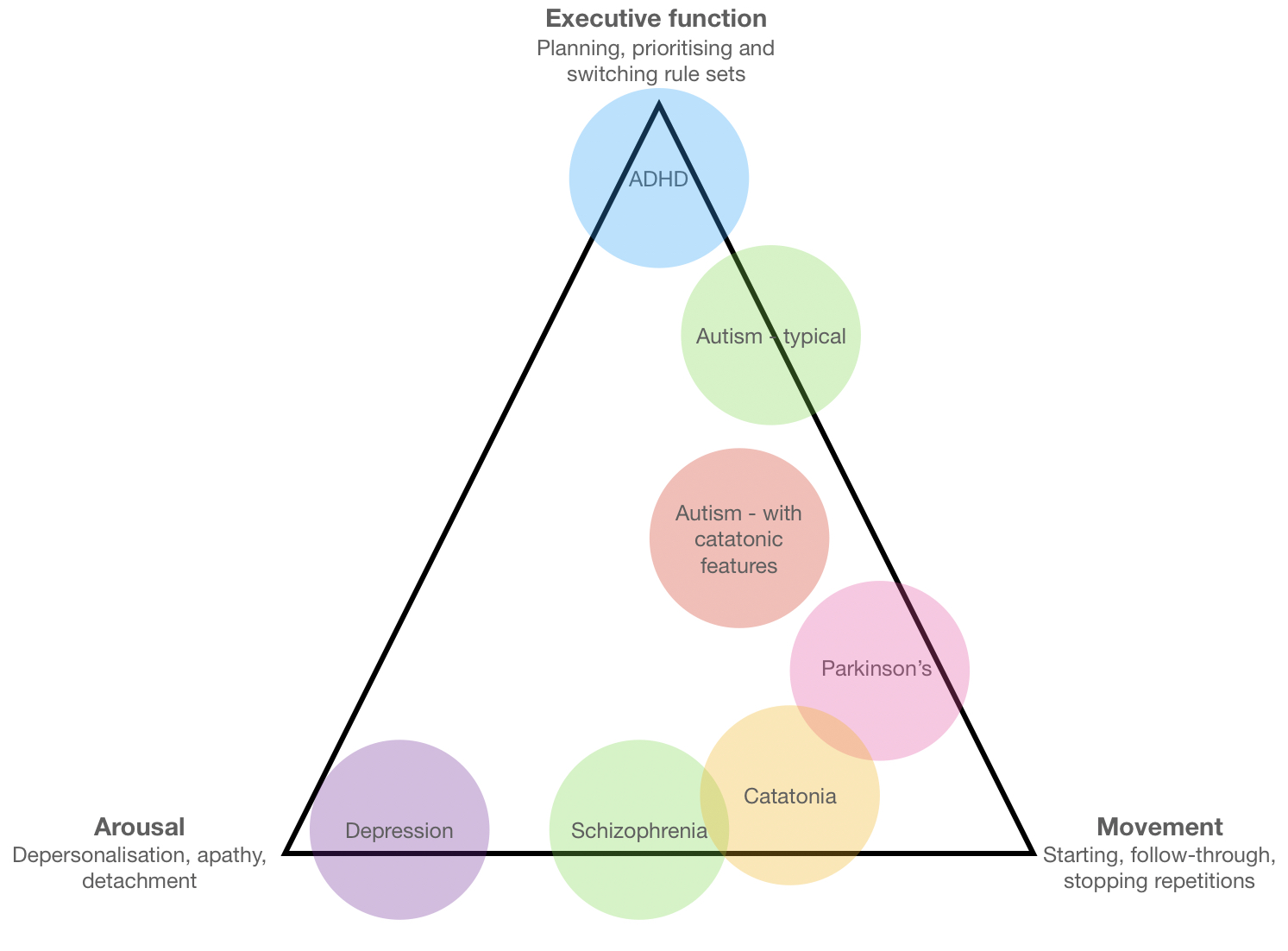 Diagram of a triangle with ‘executive function’, ‘motor initiation’ and ‘emotional arousal’ at the points. Various neurological and psychiatric conditions are shown within the triangle. Their location relative to the three points illustrates how much each of the components is part of these conditions.